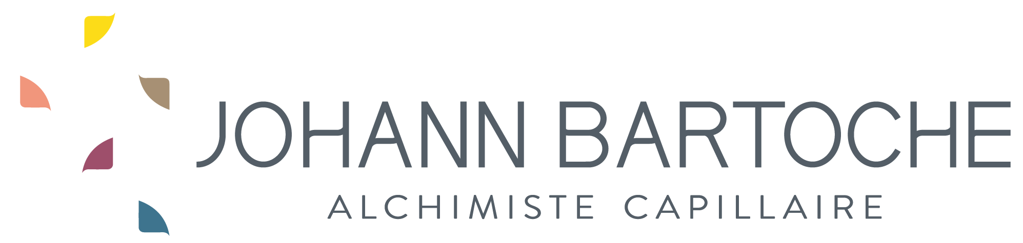 LOGO-JOHAN-BARTOCHE