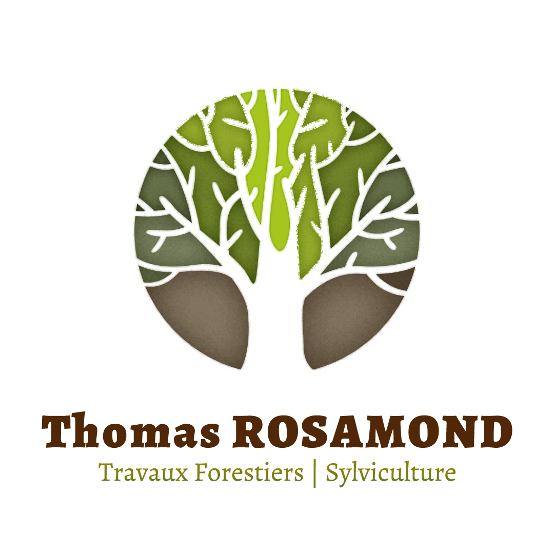 Logo Thomas Rosamond