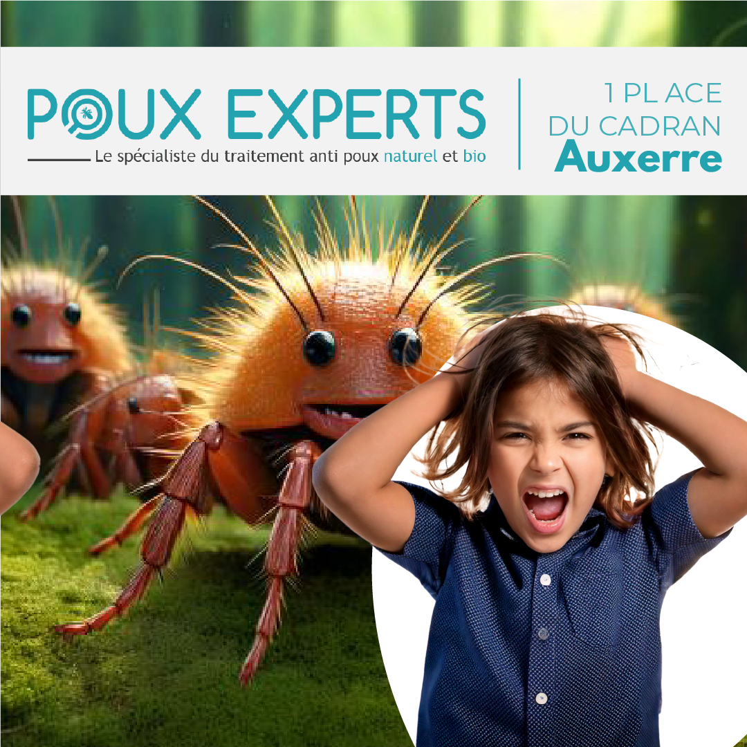 Création d'une campagne publicitaires Poux Experts