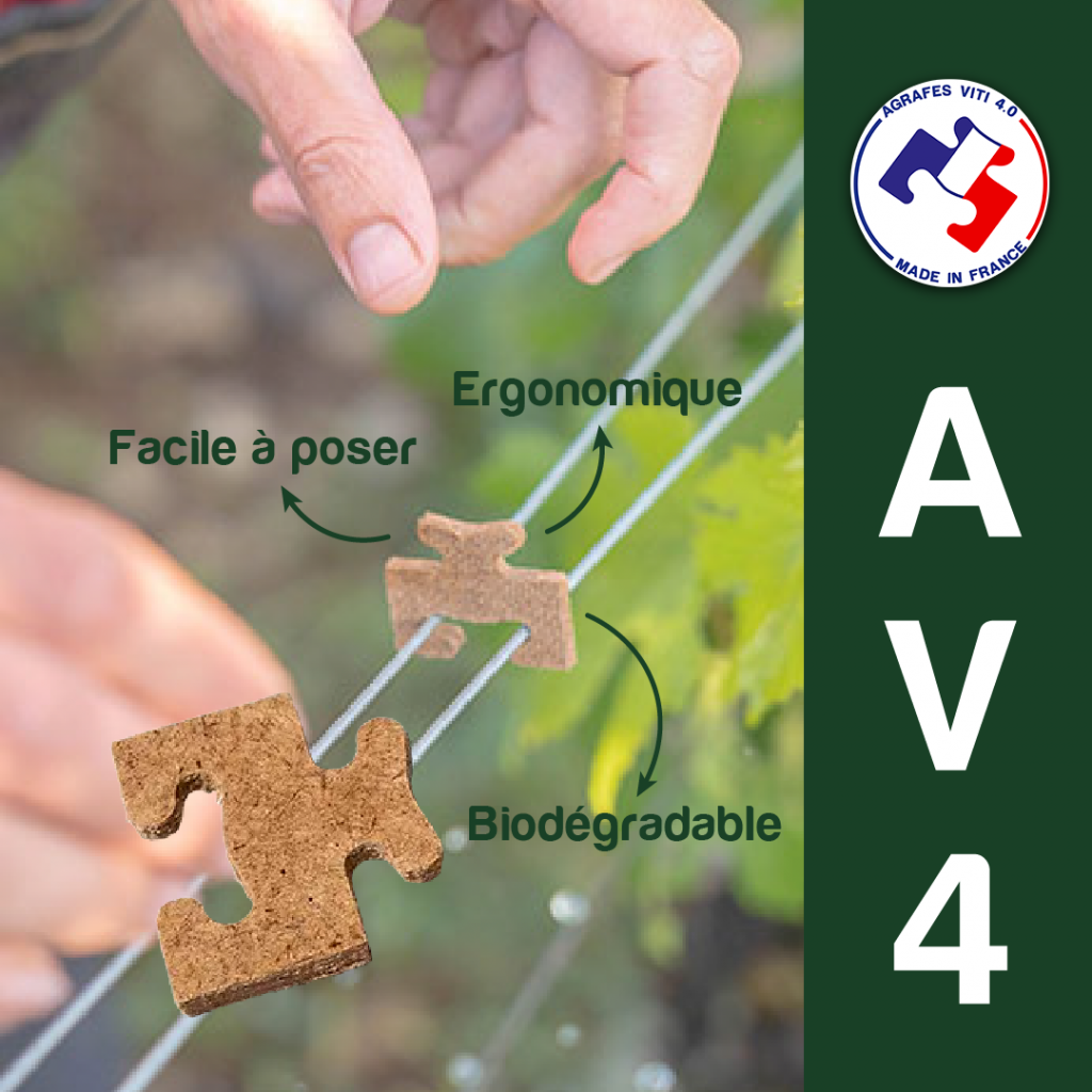 Stratégie Digitale Complète Personnalisée